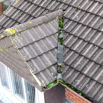 Mast Photography - Roof